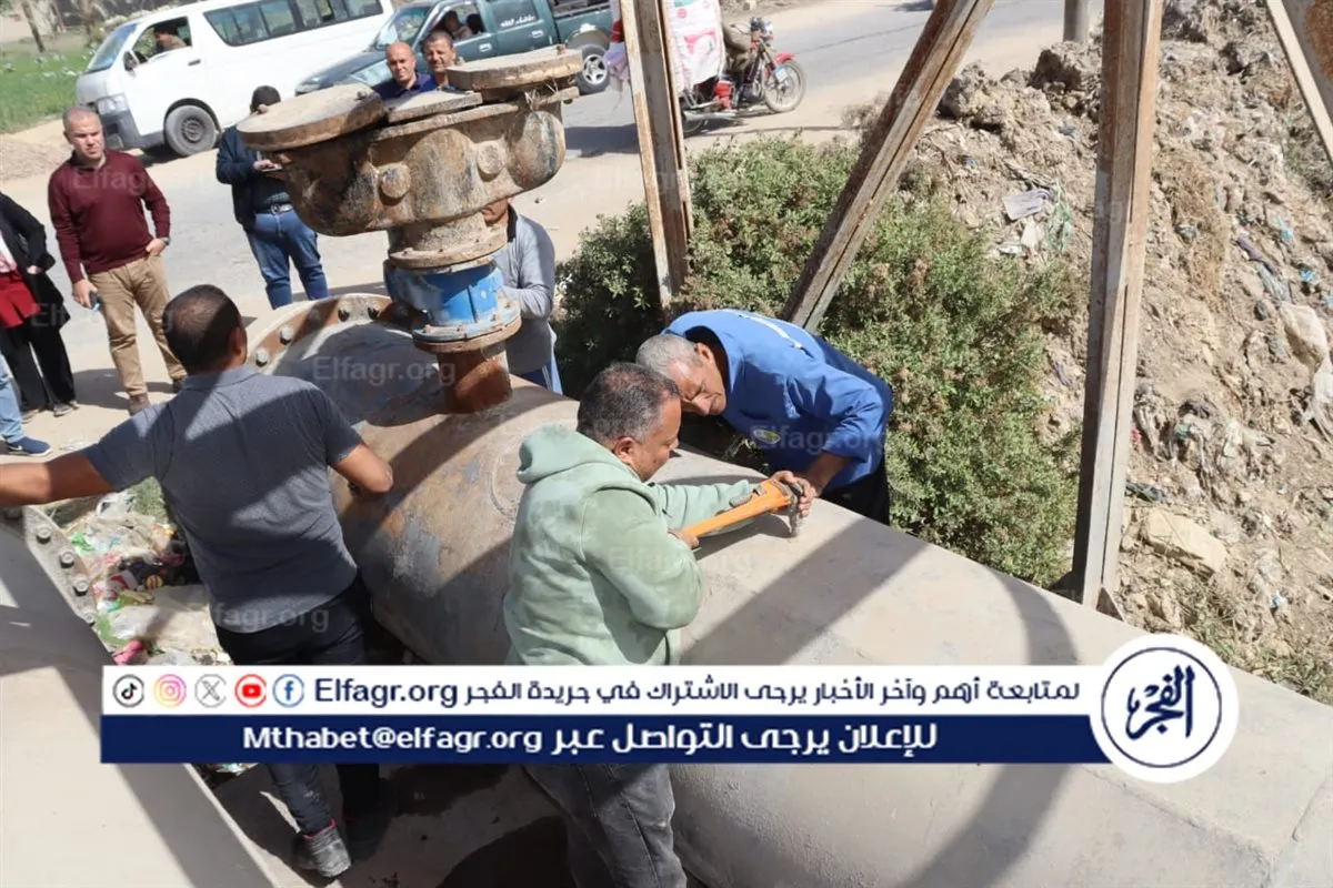 b0f3a060-4f95-4a39-a3b8-7c1c5441f6fc