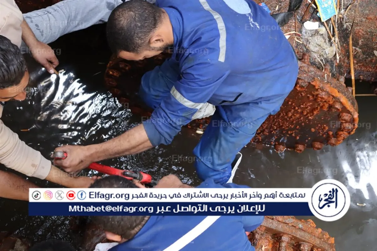 d163cea8-c0b3-479c-a8de-57d3410eb152