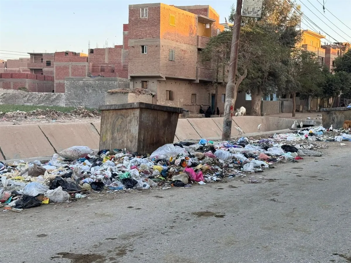 صورة من مدخل جزيرة المساعدة