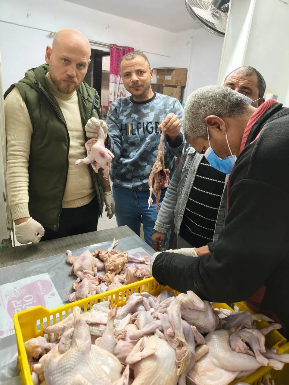 ضبط 71 دجاجة فاسدة في حملة تموينية ببني سويف