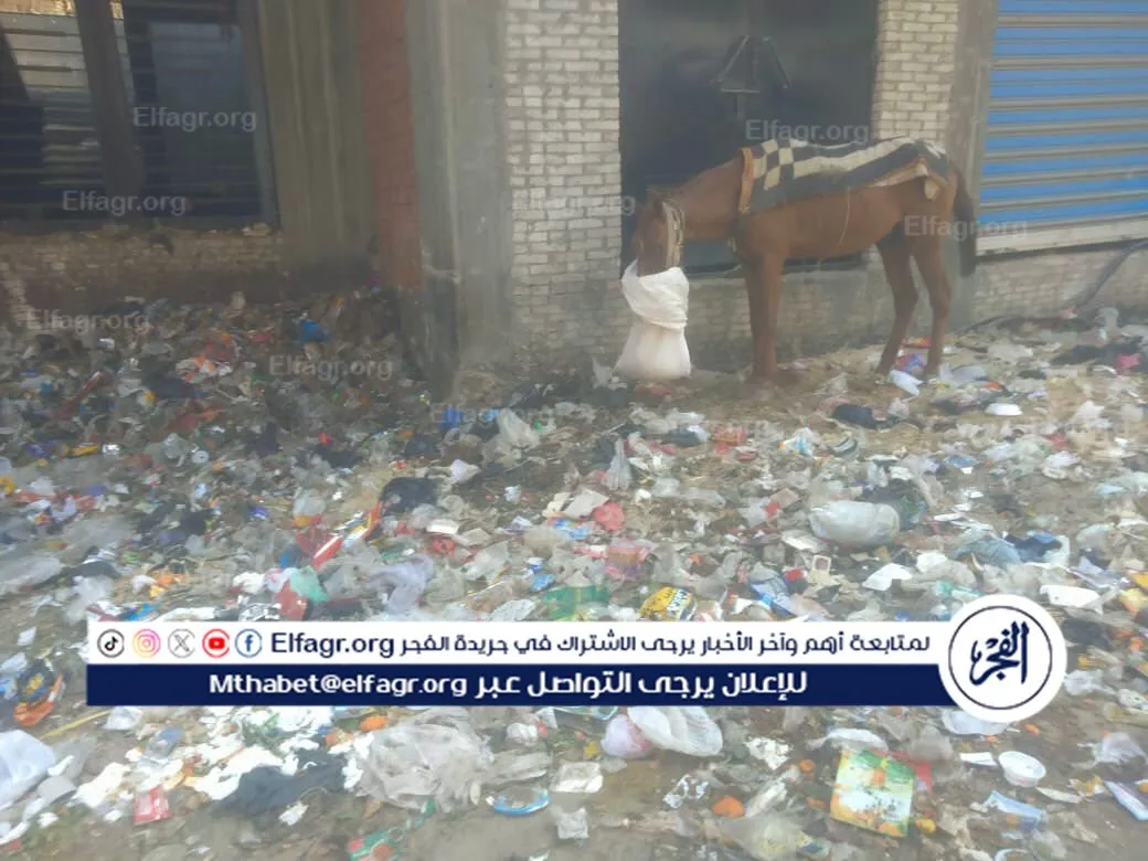 aa2b84cf-e510-4203-b7bb-5d3636ba608f