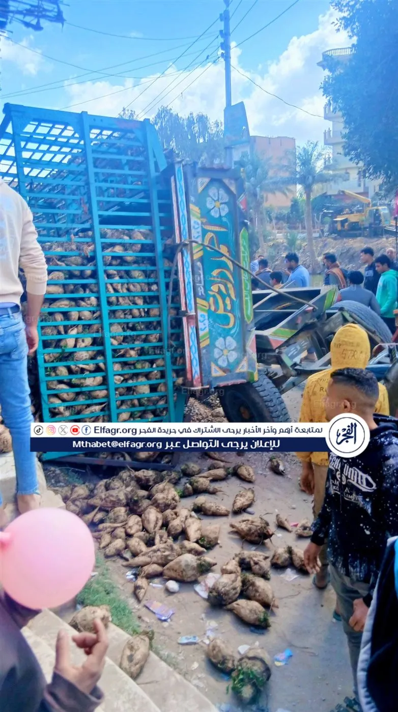 641499778_922882160469219_7598105429677764304_n