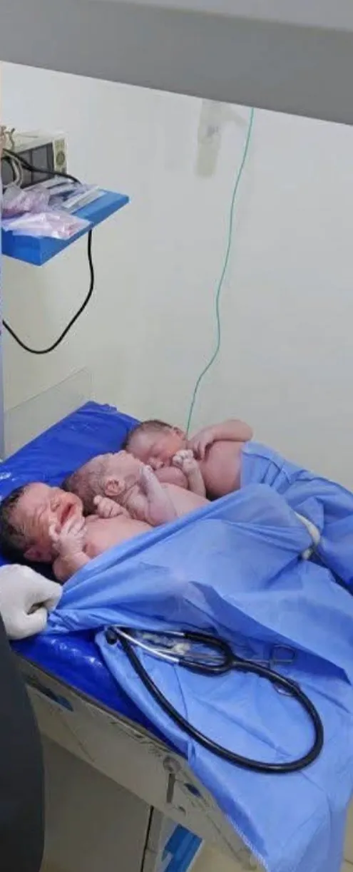 توائم متعددة&nbsp;