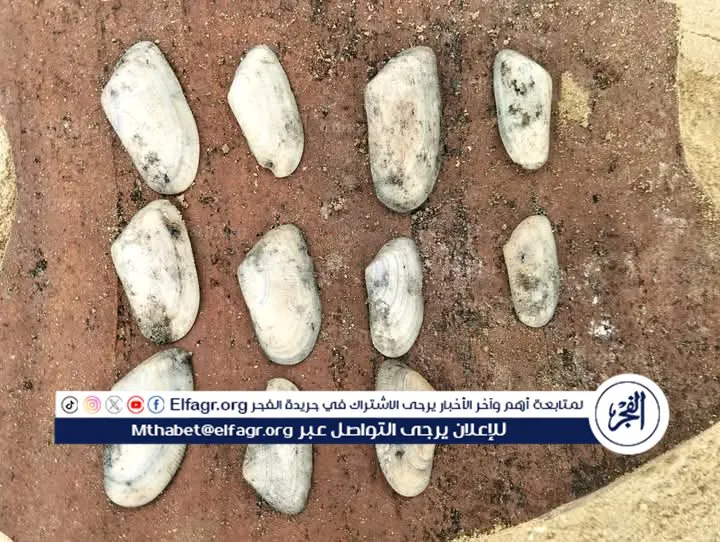 الكشف عن مبنى أثري