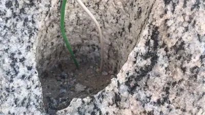 نُزهة برية تكشف متفجرات مهملة في العراء شرق مكة