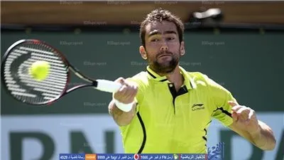 شيليتش يهزم فيرير ويصعد إلى نهائي بطولة جنيف