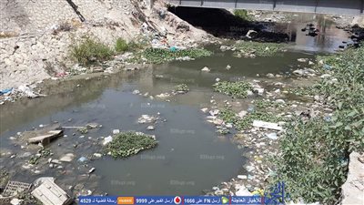 انخفاض ملحوظ في منسوب مياه ترعة المحمودية  بالإسكندرية (صور)