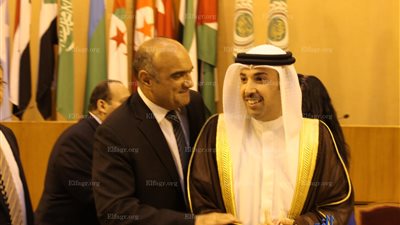 اجتماع المندوبين الدائمين وأعضاء مجلس الأمن.. (صور)