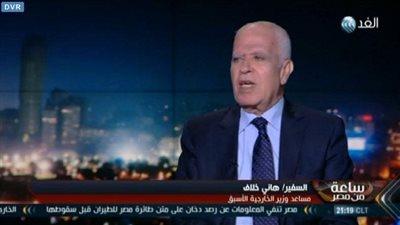 مساعد وزير الخارجية الأسبق: الجامعة العربية أخطأت بقطع علاقاتها مع 