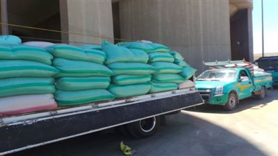 توريد ١٢٩ ألف طن قمح لشون وصوامع أسيوط بزيادة ١٠ ألاف طن 