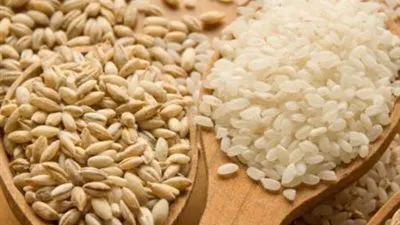 وزير التموين في 