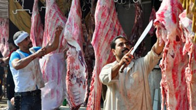 اليوم.. القصابين تناقش سبل تنمية الثروة الحيوانية مع عضو برلماني