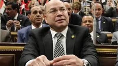 برلماني مهاجمًا ترويج بعض النواب لسقوط مصر: 
