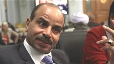 برلماني: القضاء على الخلايا النائمة بـ