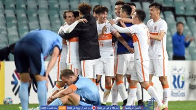 شاندونغ وسيول يتأهلان لربع نهائي دوري أبطال آسيا   