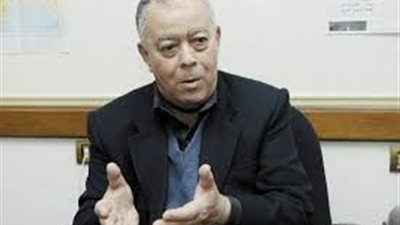 خبير استراتيجي: هناك تربص دولي للنظام المصري