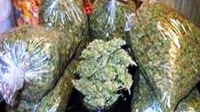 ضبط سائق بحوزته 20 كيلوجرام بانجو عقب مطاردة مع قوات الأمن في بني سويف