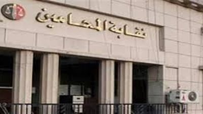 محامي الدقهلية معتصمون اعتراضًا على  المستثمر ومخالفته للشروط 