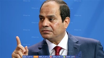 السيسي عن سيدة المنيا: 