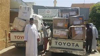 قافلة الأزهر الطبية والإغاثية تصل نيجيريا