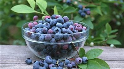 كوب من التوت الأزرق يوميا يحميك من أمراض القلب  
