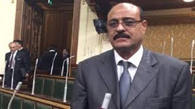 صلاح عيسى: الحوافز وبدل الجهود تحتاج إلى تعديلات في مشروع الموازنة