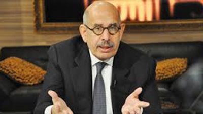 البرادعي يطالب بتشكيل منظمة عربية لرعاية 5 ملايين لاجئ سوري 