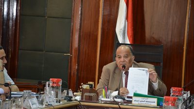 محافظ الدقهلية لـ