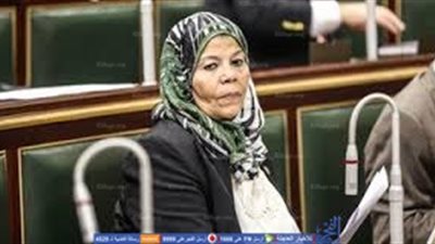 نائبة برلمانية: الدورات الموجهة للنواب من بعض المنظمات الغرض منها التوجيه وليس التثقيف (فيديو)