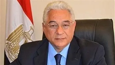 دبلوماسي سابق: الإخوان كانت تجربة شاذة في حكم مصر (فيديو)