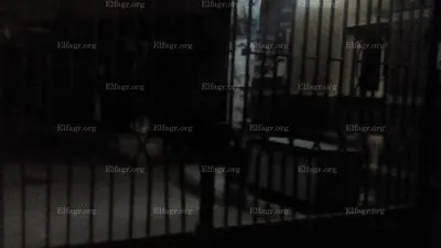 موظفين يربطون أعناقهم بالجنازير ويهددون بحرق أنفسهم داخل أزهر طنطا ( صور )