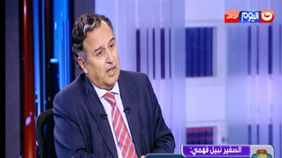 وزير الخارجية السابق: استقرار مصر سيجبر أي رئيس أمريكي قادم في التعامل معها