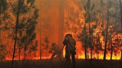 السلطات الأمريكية: السيطرة على حرائق غابات بالقرب من لوس أنجلوس