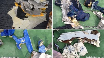 فريق التحقيق الفرنسي: انضمام سفينة جديدة للبحث عن الطائرة المصرية 