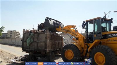 رفع 20 طن قمامة من شوارع ميت عنتر في طلخا (صور)