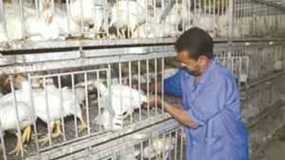 تاجر يطعن سائقا بسبب ثمن 