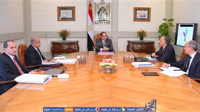 الرئيس يبحث مع وزير الري آخر المستجدات على صعيد مفاوضات سد النهضة