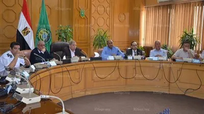 الإسماعيلية تتزين للاحتفال بذكرى 30 يونيو (صور)