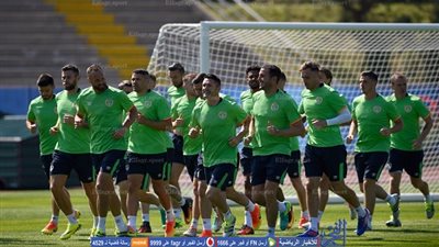 يورو 2016 – 5 أشياء يجب أن تعرفها عن منتخب أيرلندا الشمالية