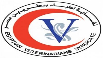 وكيل البيطريين: يفترض أن نمثل 80% من هيئة سلامة الغذاء