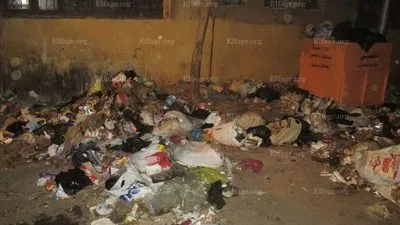 رفع 35 طن قمامة من شوارع شرق المنصورة خلال حملة نظافة (صور)