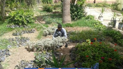 تجميل وتطوير مدينة برج العرب بالإسكندرية ..(صور)