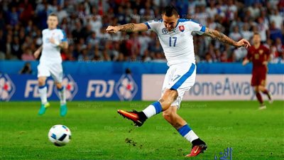 هامسيك : هذه أول بطولة أوروبية لي وأول هدف لا ينسى