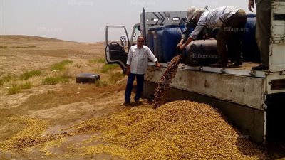 إعدام 10 أطنان 