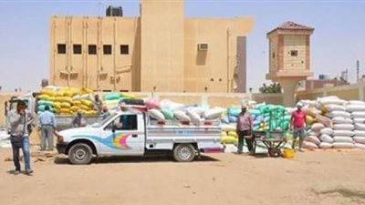 حبس مسؤولي صوامع توريد القمح بالعبور.. والنيابة تأمر بضبط أعضاء اللجنة المشرفة على الاستلام