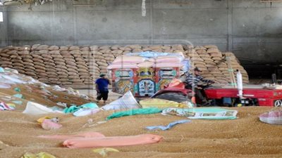 حبس المتهمين في واقعة توريد القمح الوهمية بطوخ.. والنيابة تطلب مستندات التوريد