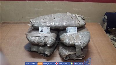 ضبط 12.5 كيلو بانجو داخل عربية ربع نقل في الشرقية (صور)