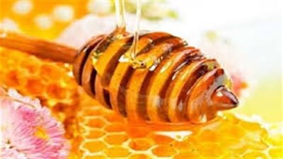 مرض قاتل يصيب النحل في أسكتلندا  