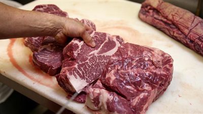 أهالي المنوفية يضبطون 4 جزارين عقب ذبحهم 12 حمارًا بمركز تلا