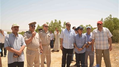  المنيا تبدأ في تنفيذ توجيهات 